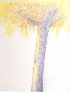 A Burst of&nbsp;Yellow